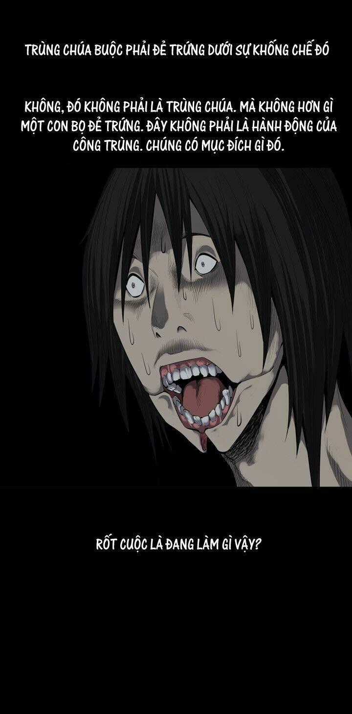 THẢM HỌA ONG ĐỘC Chapter 83 trang 68