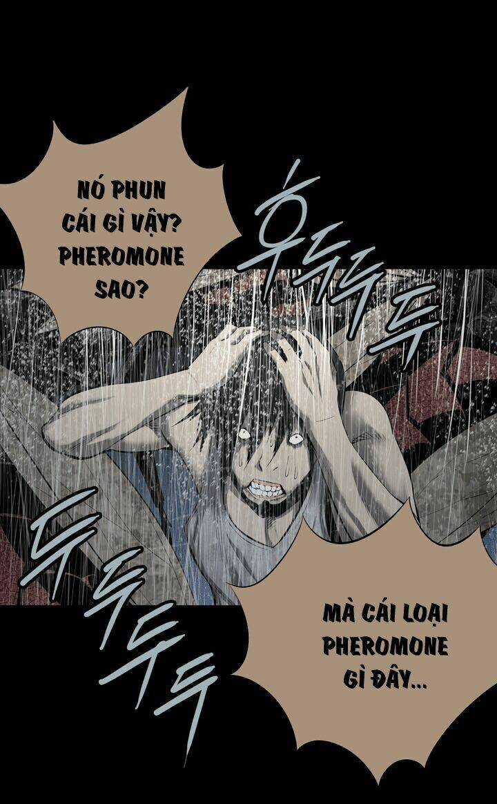 THẢM HỌA ONG ĐỘC Chapter 84 trang 10