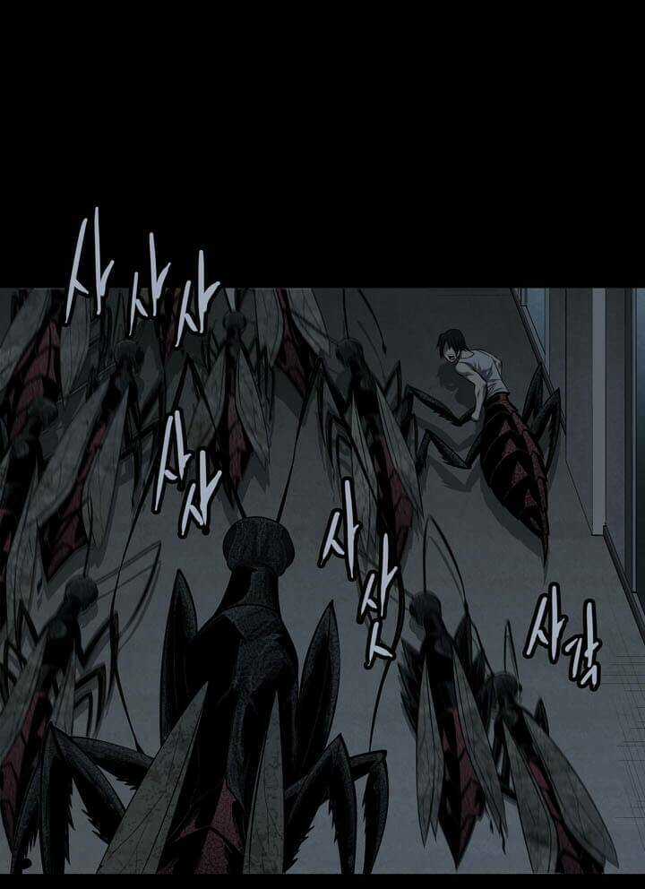 THẢM HỌA ONG ĐỘC Chapter 84 trang 2