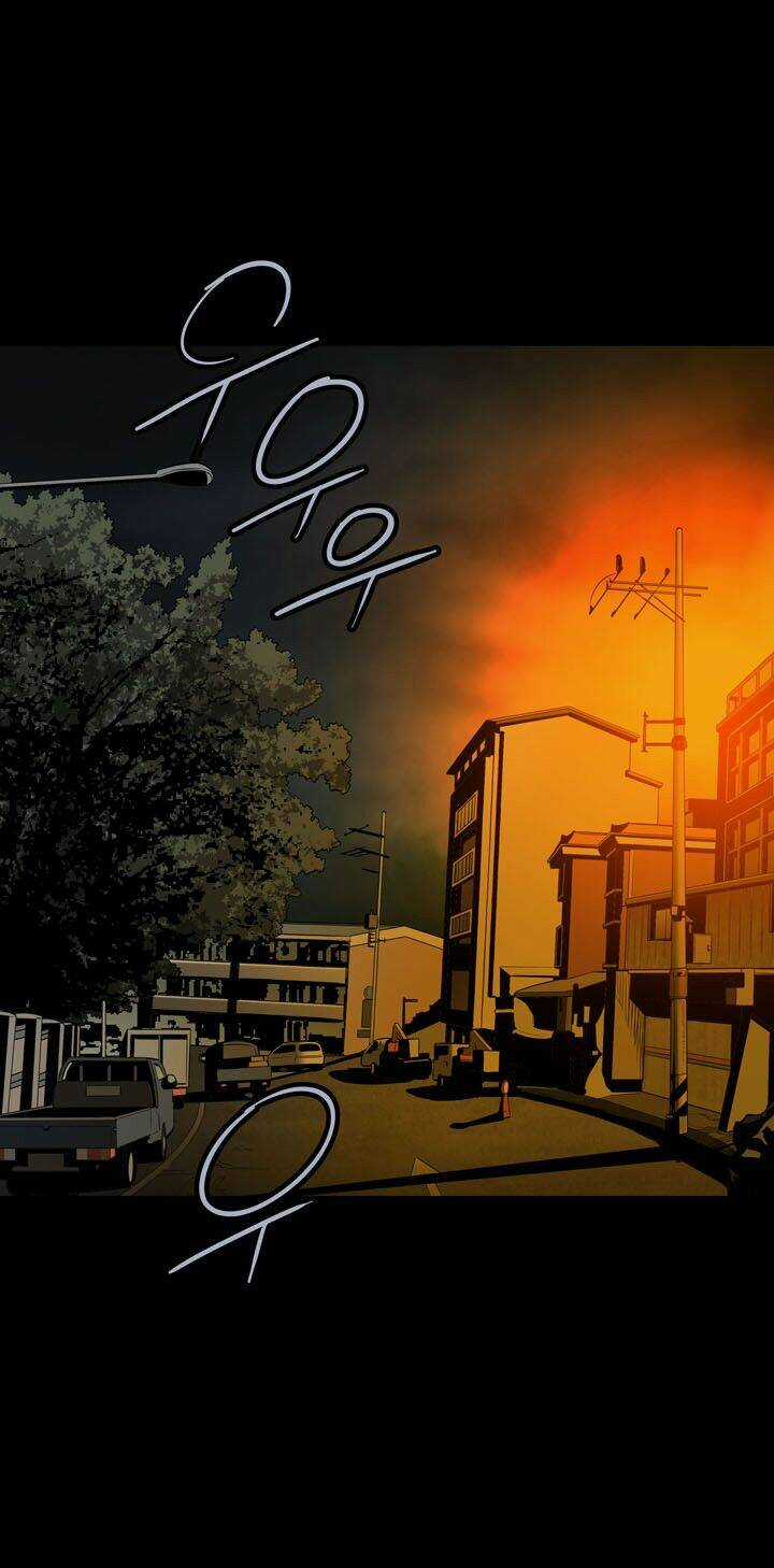 THẢM HỌA ONG ĐỘC Chapter 85 trang 17