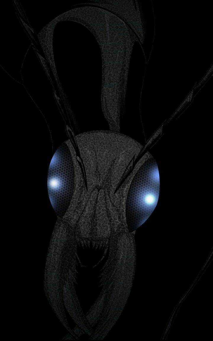 THẢM HỌA ONG ĐỘC Chapter 85 trang 32