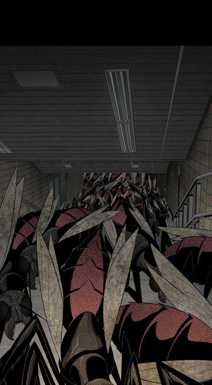 THẢM HỌA ONG ĐỘC Chapter 85 trang 33