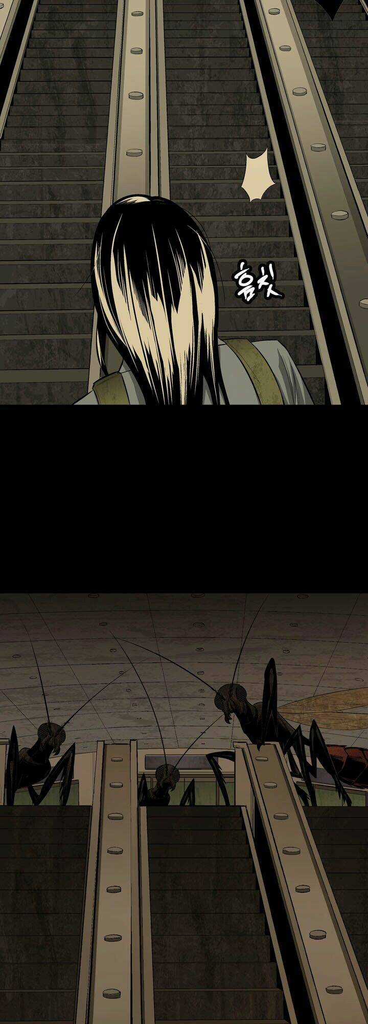 THẢM HỌA ONG ĐỘC Chapter 9 trang 23