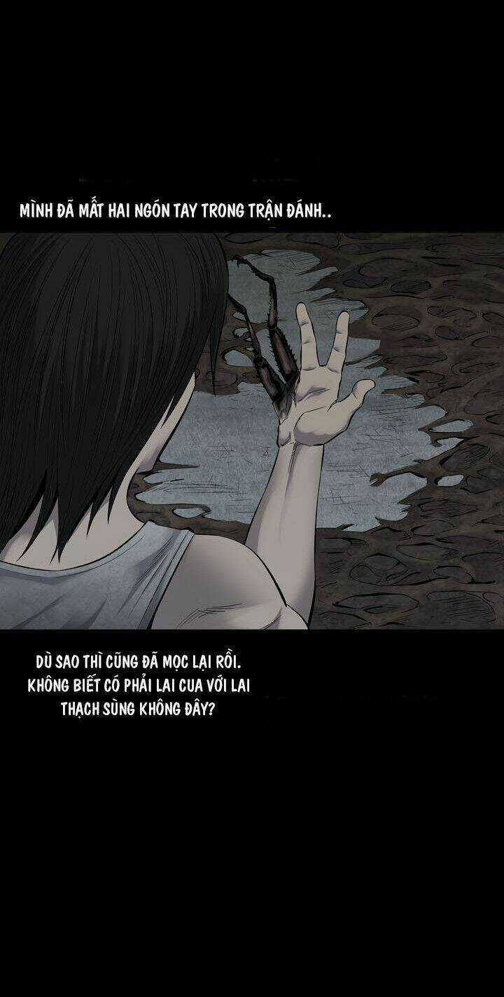 THẢM HỌA ONG ĐỘC Chapter 91 trang 63