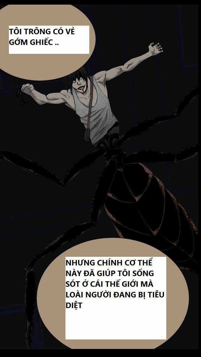 THẢM HỌA ONG ĐỘC Chapter 92 trang 38