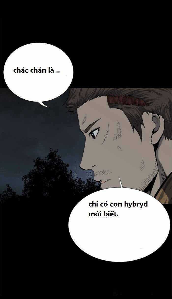 THẢM HỌA ONG ĐỘC Chapter 93 trang 41
