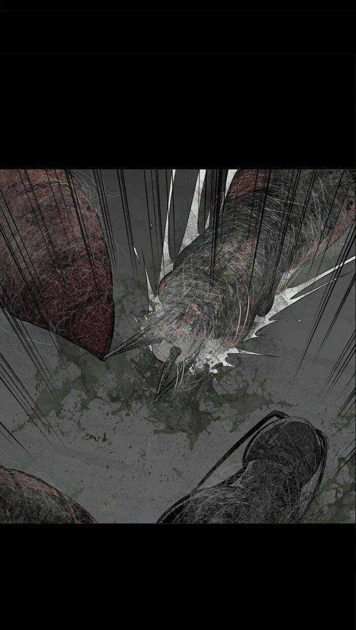 THẢM HỌA ONG ĐỘC Chapter 97 trang 15