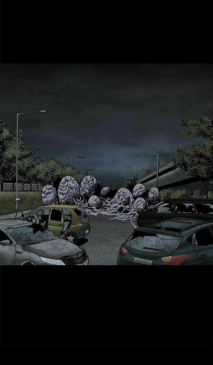 THẢM HỌA ONG ĐỘC Chapter 97 trang 5