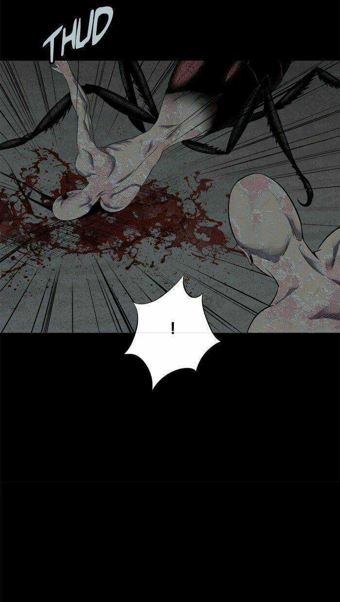 THẢM HỌA ONG ĐỘC Chapter 98 trang 13