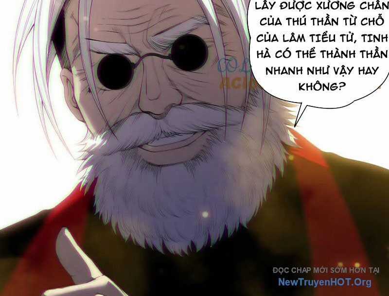 Thảm Họa Tử Linh Sư Chương 189 trang 14