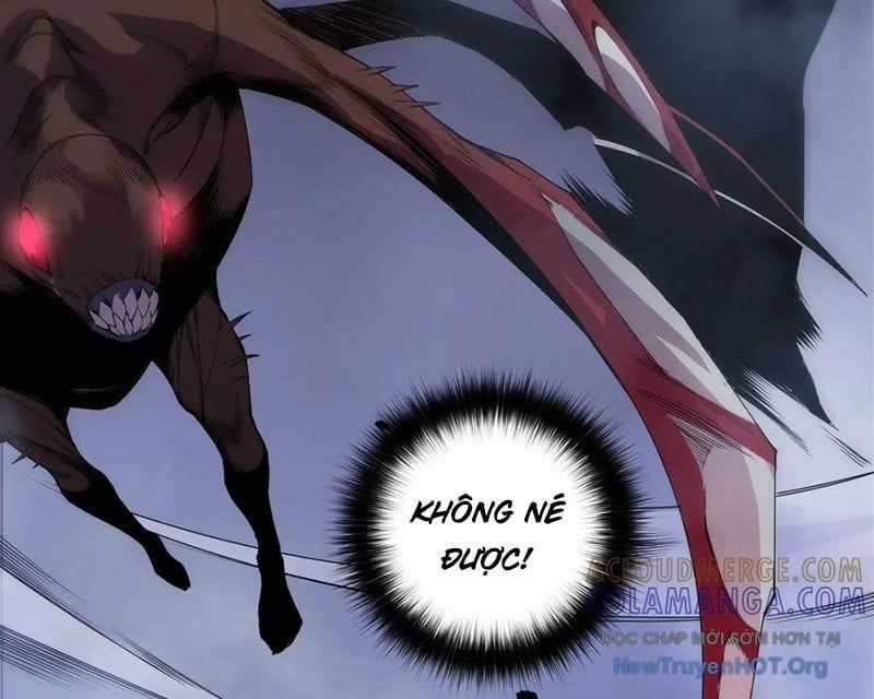 Thảm Họa Tử Linh Sư Chương 204 trang 63