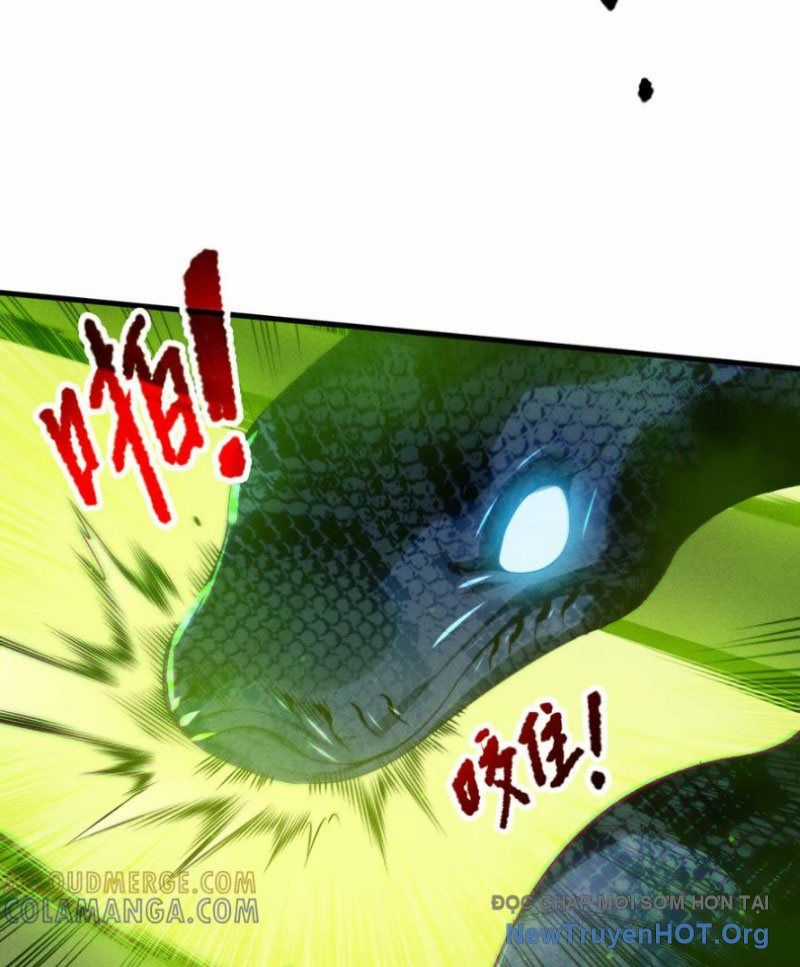 Thảm Họa Tử Linh Sư Chương 210 trang 16