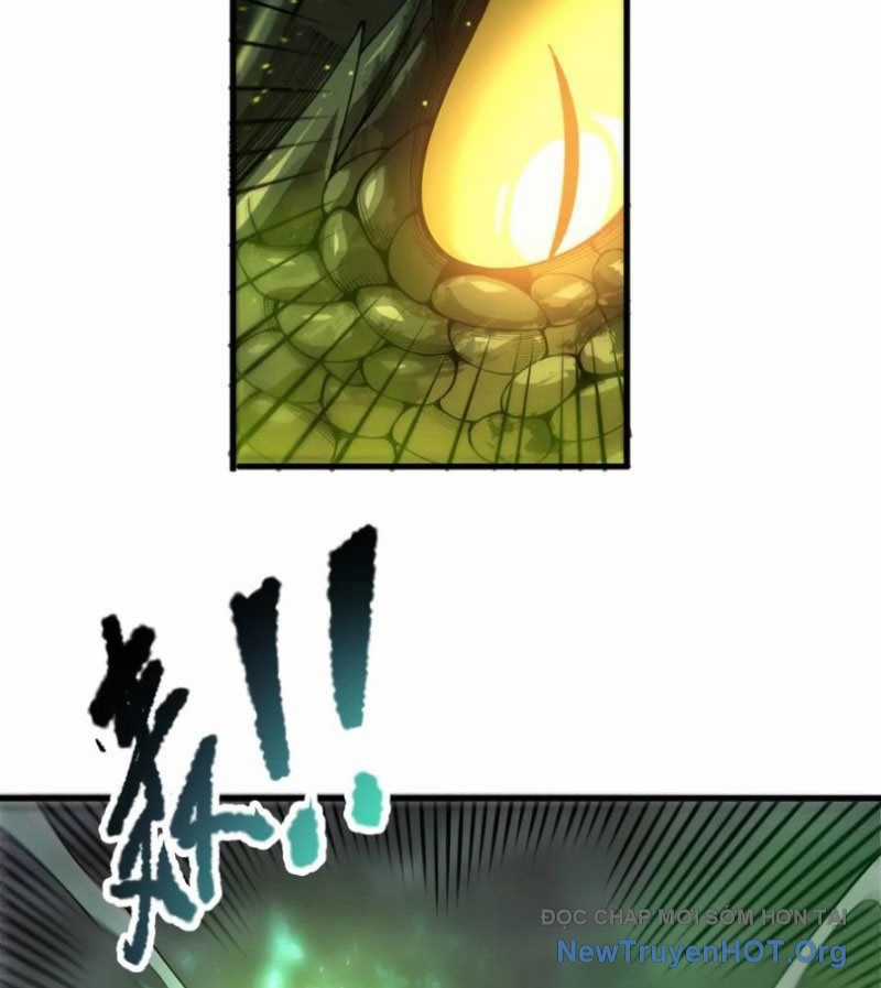 Thảm Họa Tử Linh Sư Chương 210 trang 69