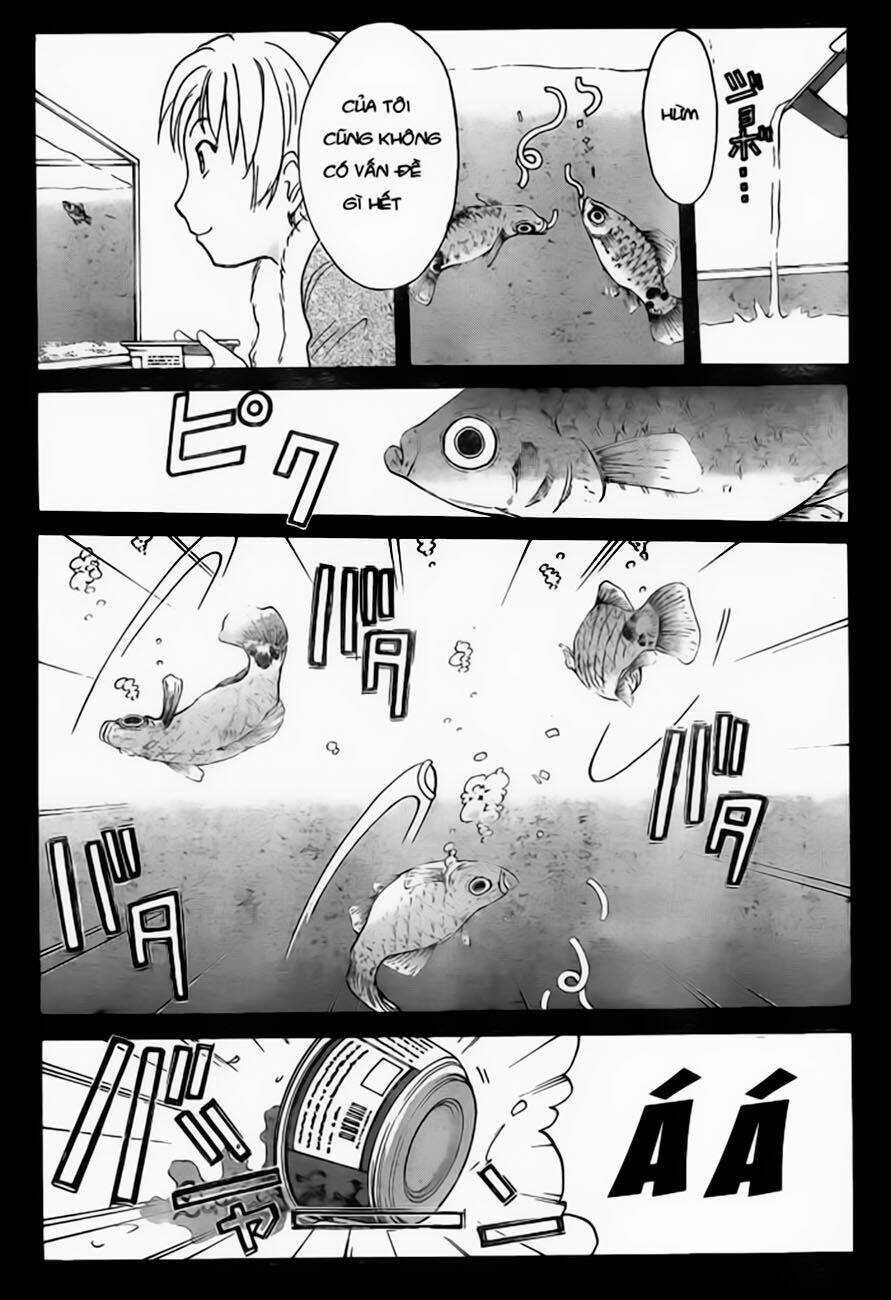 Thám Tử Kindaichi - Phần 2 Chapter 100 trang 20