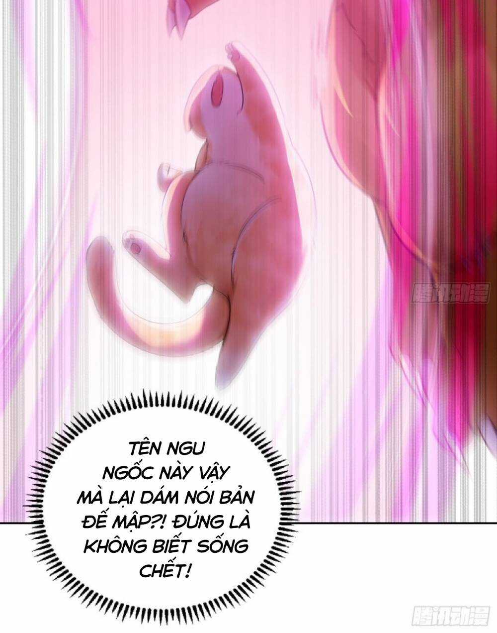 Thần Cấp Khế Ước : Bắt Đầu Với Một Con Mèo Chapter 2 trang 13