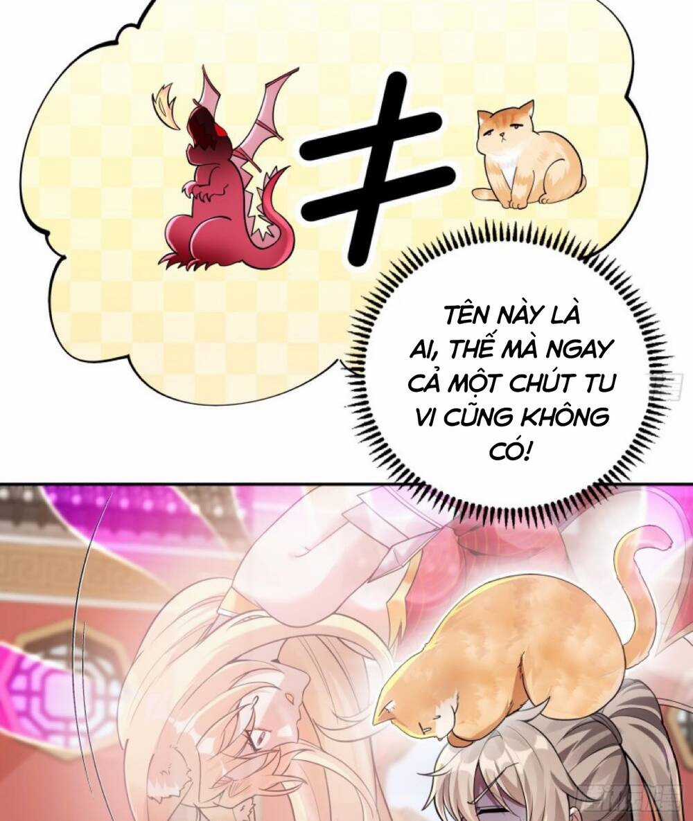 Thần Cấp Khế Ước : Bắt Đầu Với Một Con Mèo Chapter 2 trang 4