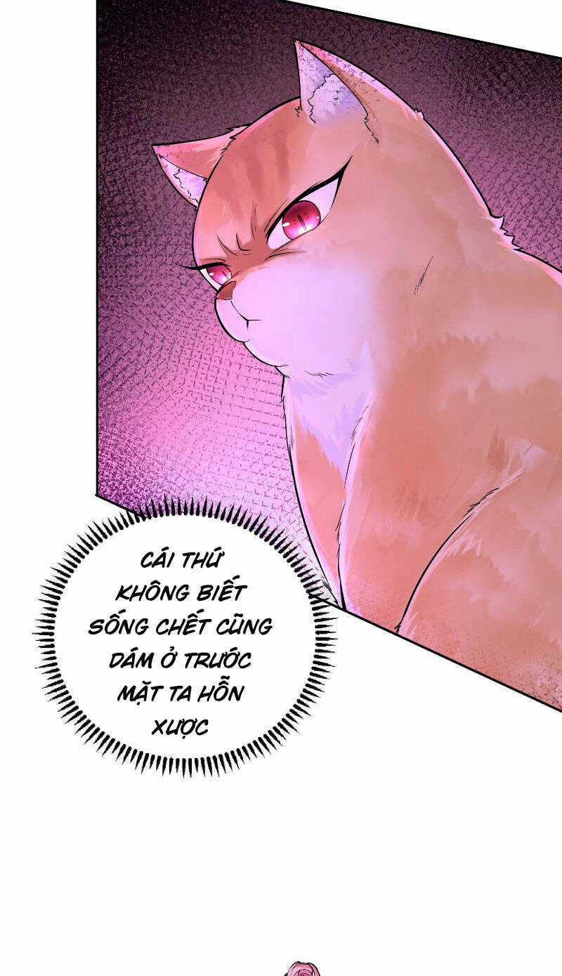 Thần Cấp Khế Ước : Bắt Đầu Với Một Con Mèo Chapter 3 trang 5