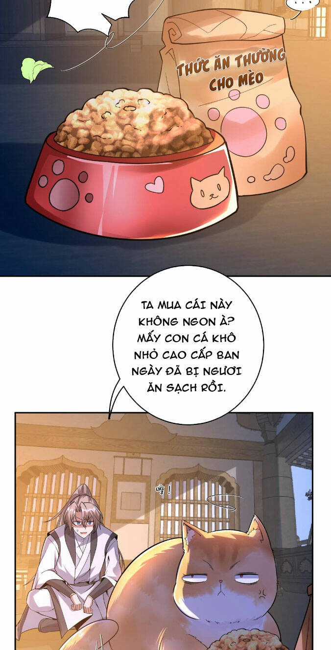 Thần Cấp Khế Ước : Bắt Đầu Với Một Con Mèo Chapter 4 trang 11