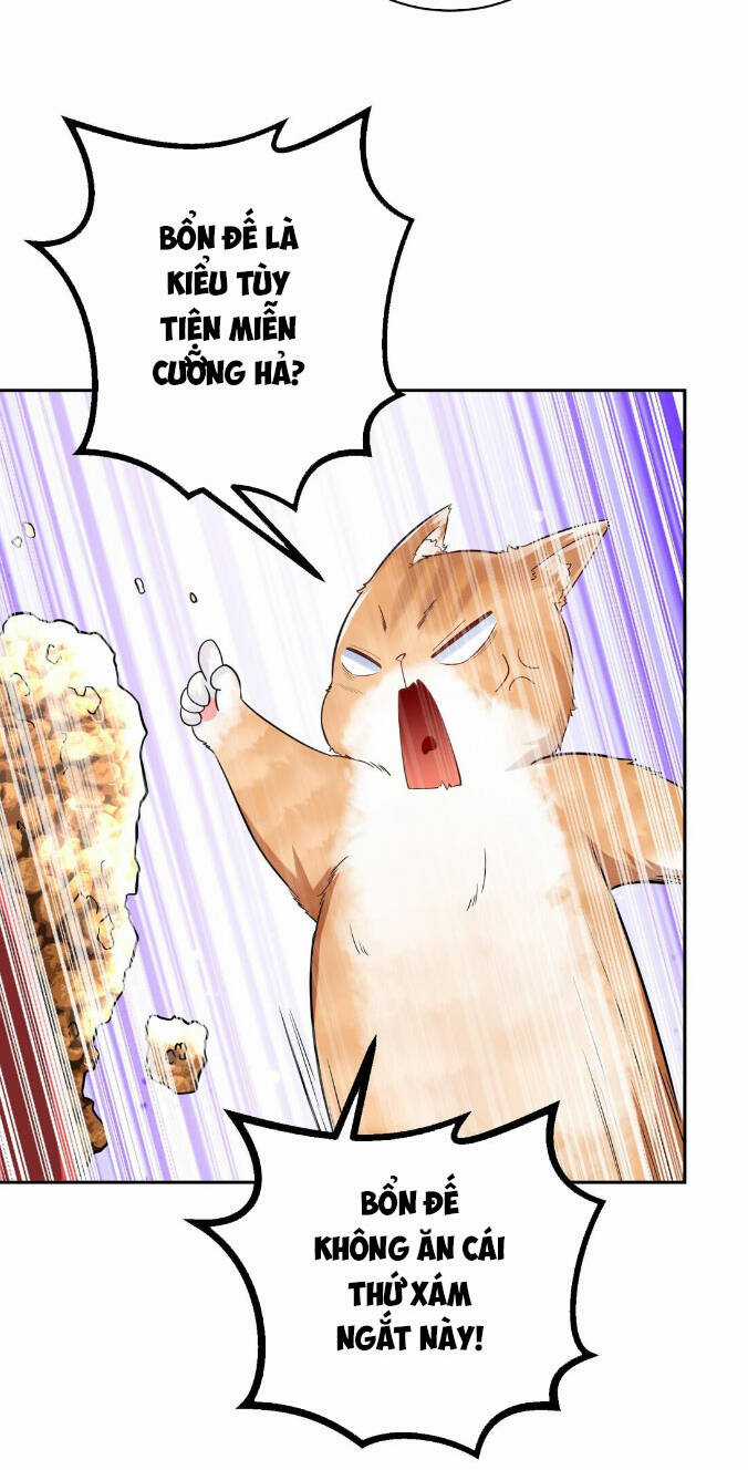 Thần Cấp Khế Ước : Bắt Đầu Với Một Con Mèo Chapter 4 trang 13