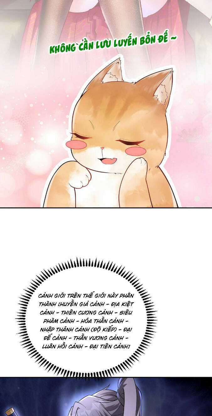 Thần Cấp Khế Ước : Bắt Đầu Với Một Con Mèo Chapter 4 trang 17