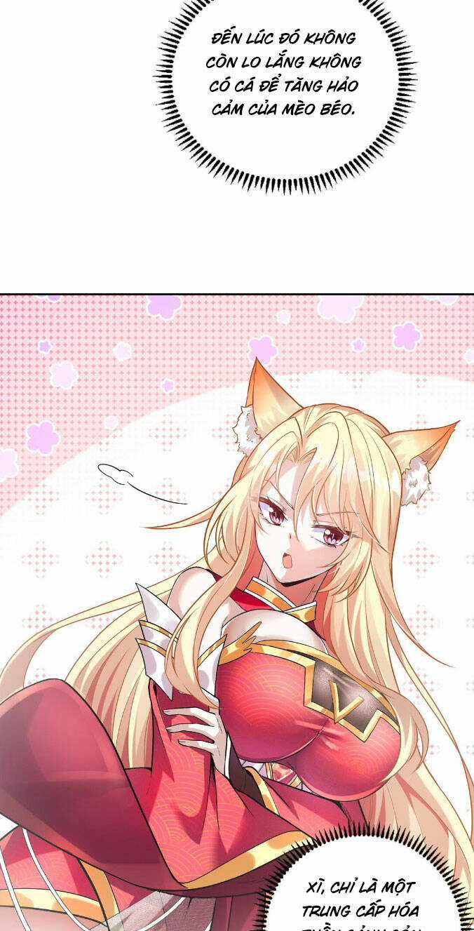 Thần Cấp Khế Ước : Bắt Đầu Với Một Con Mèo Chapter 4 trang 6