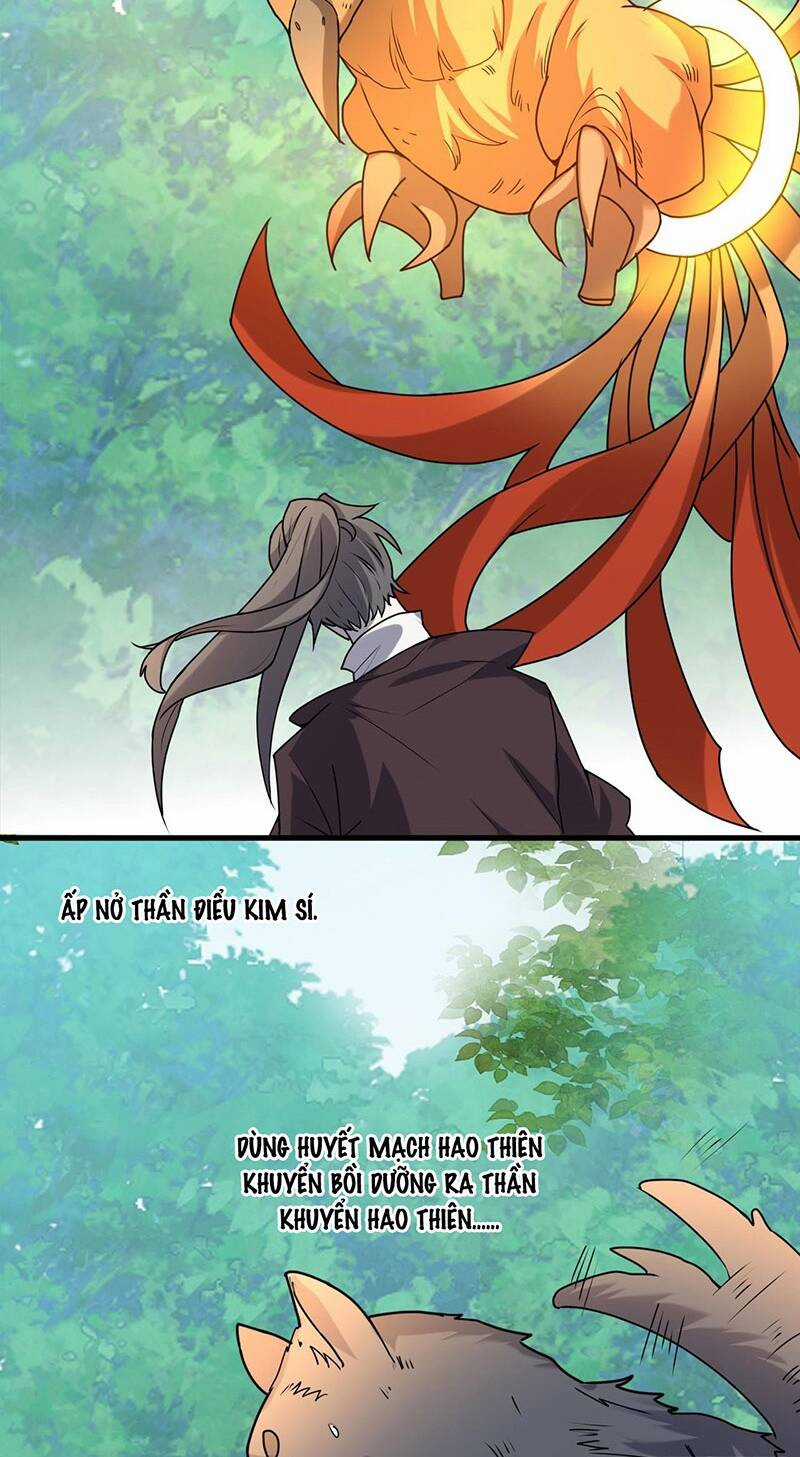 Thần Đế Giáng Lâm: Ta Có Trăm Triệu Điểm Thuộc Tính Chapter 6 trang 13