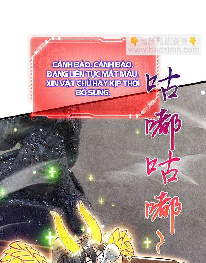 Thần Đế Giáng Lâm: Ta Có Trăm Triệu Điểm Thuộc Tính Chapter 77 trang 23