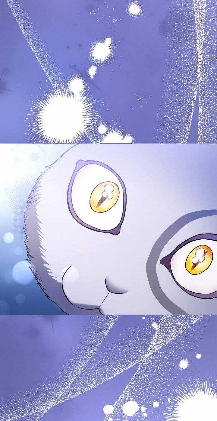 Thân Gửi Tình Nhân Của Chồng Tôi Chapter 32.1 trang 14