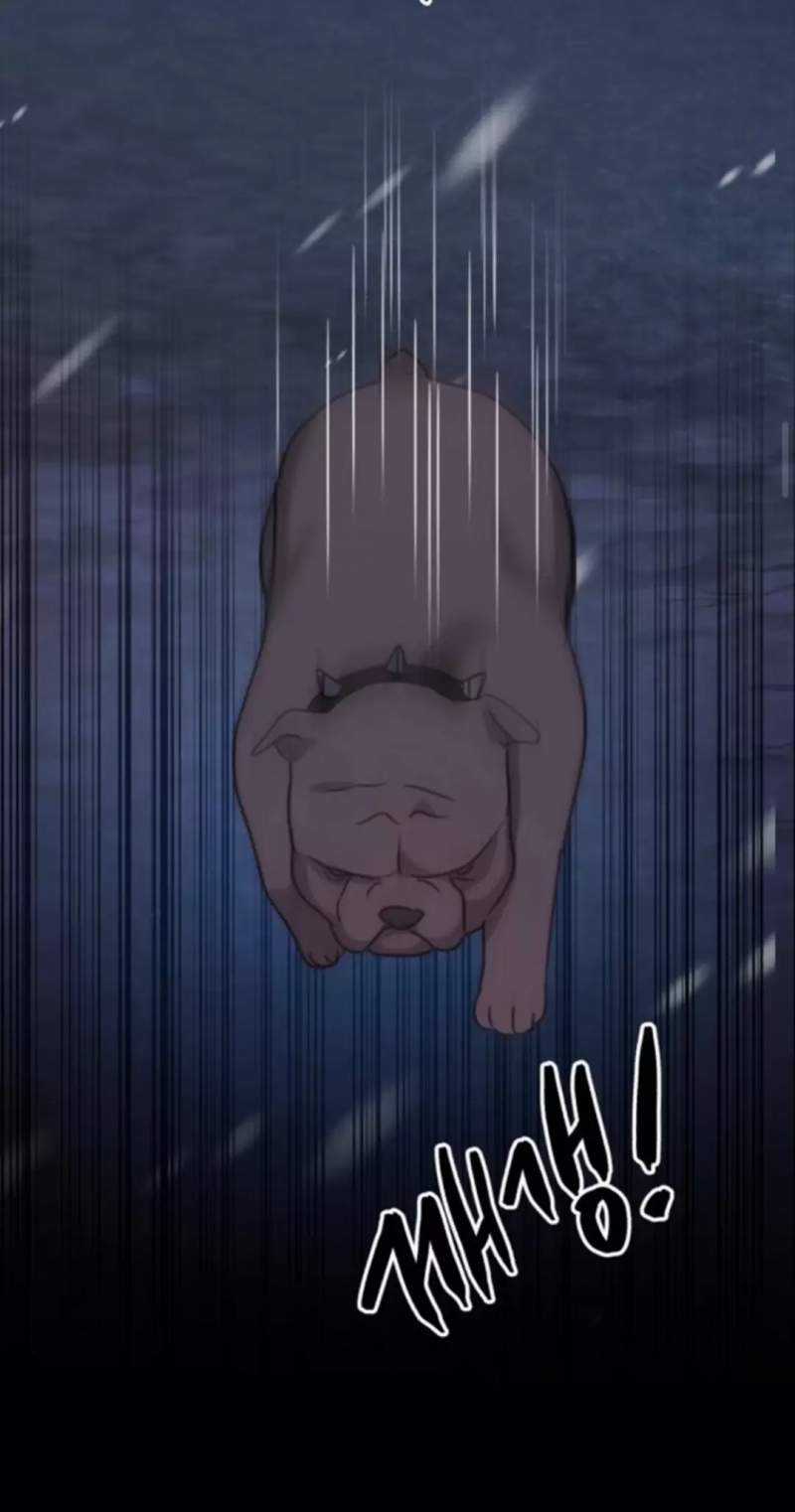 Thần Hổ Jangsan Chapter 48 trang 144