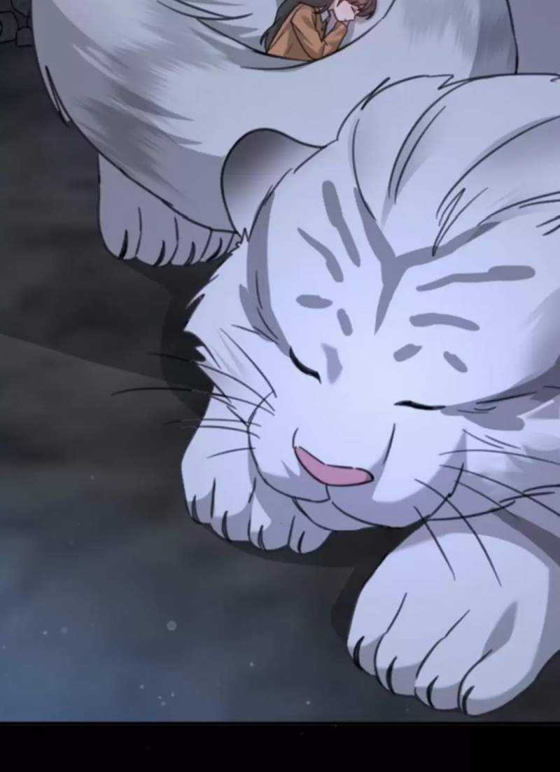 Thần Hổ Jangsan Chapter 48 trang 162