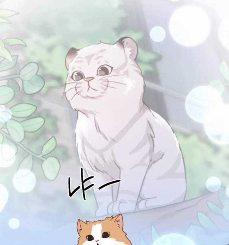 Thần Hổ Jangsan Chapter 50 trang 90