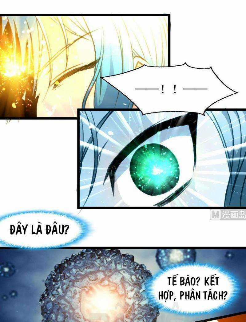 Thần Nhãn Giám Định Sư Chapter 73 trang 13