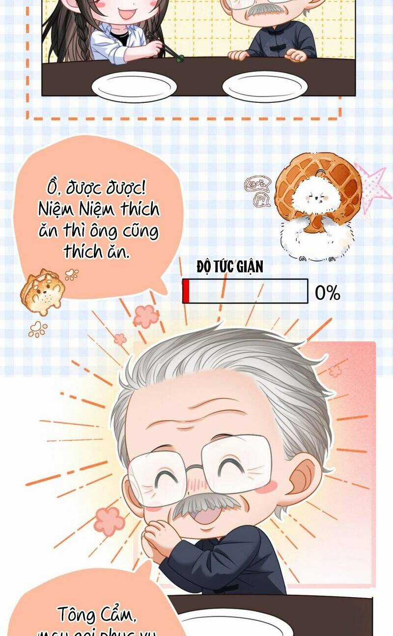 thân phận của phu nhân làm chấn động cả thành phố. Chapter 4 trang 24