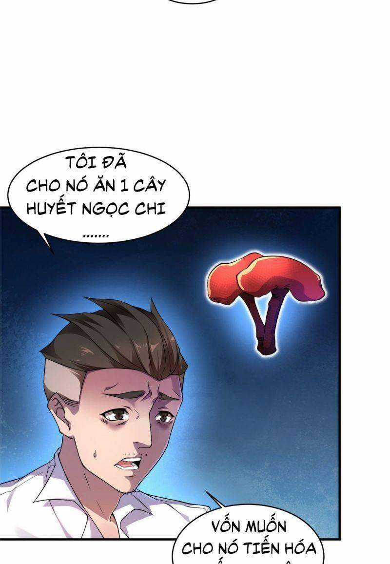 Thần Sủng Tiến Hóa Chương 11 trang 10