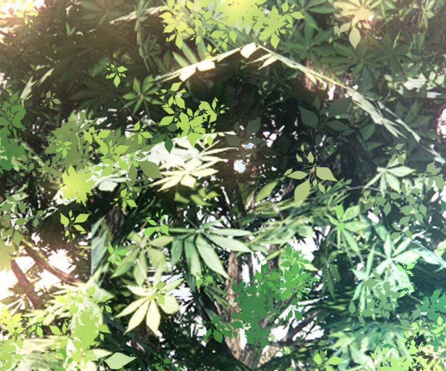 Thần Sủng Tiến Hóa Chương 32 trang 34