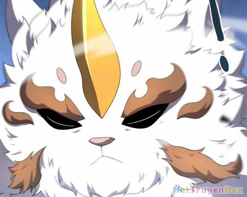 Thần Sủng Tiến Hóa Chương 372 trang 70