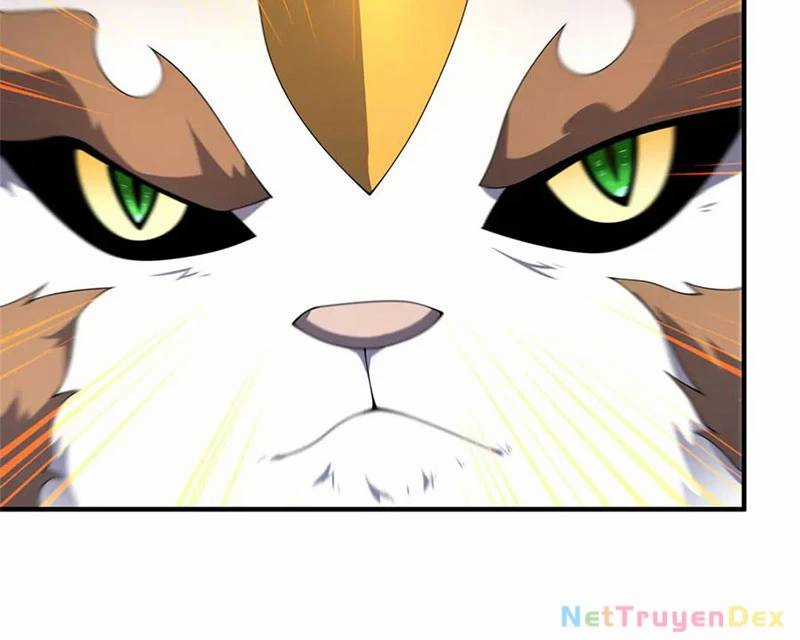 Thần Sủng Tiến Hóa Chương 372 trang 73