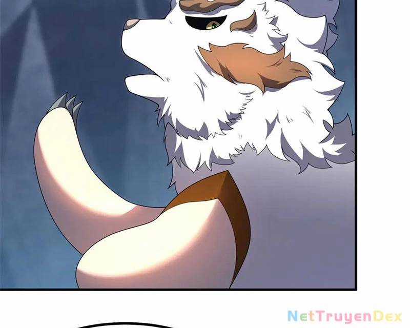 Thần Sủng Tiến Hóa Chương 372 trang 79