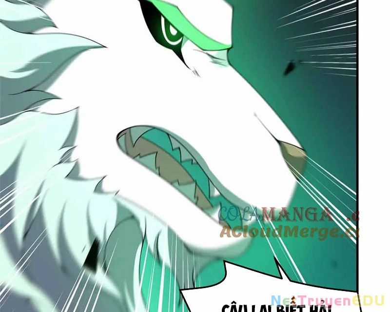 Thần Sủng Tiến Hóa Chương 381 trang 56