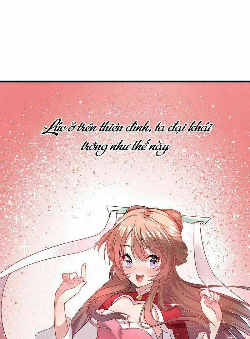 Thần Tiên Đại Nhân Xin Hãy Thu Nhận Chapter 1.5 trang 2
