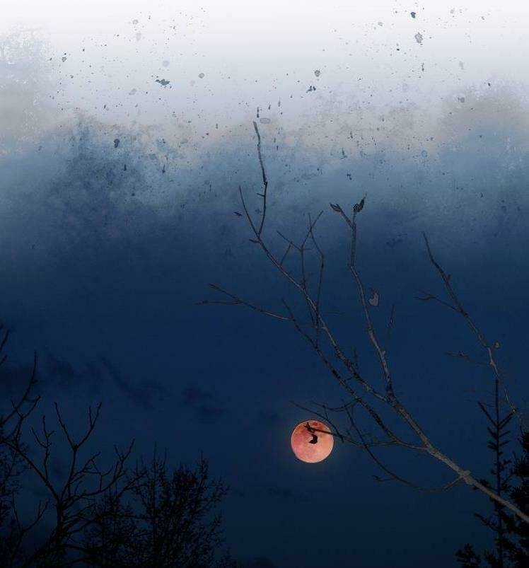 Thần Trạch Chapter 18 trang 41