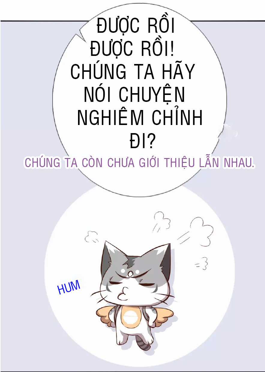 Thần Trù Cuồng Hậu Truyentranhyoyo Chapter 5 trang 7