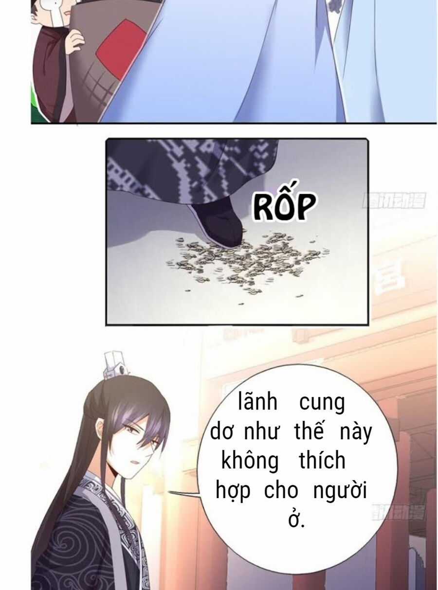 Thần Trù Cuồng Hậu Truyentranhyoyo Chapter 65 trang 4