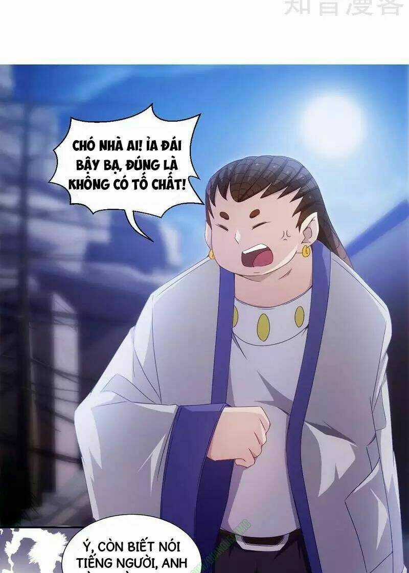 Thần Y Hệ Thống Chapter 34 trang 5