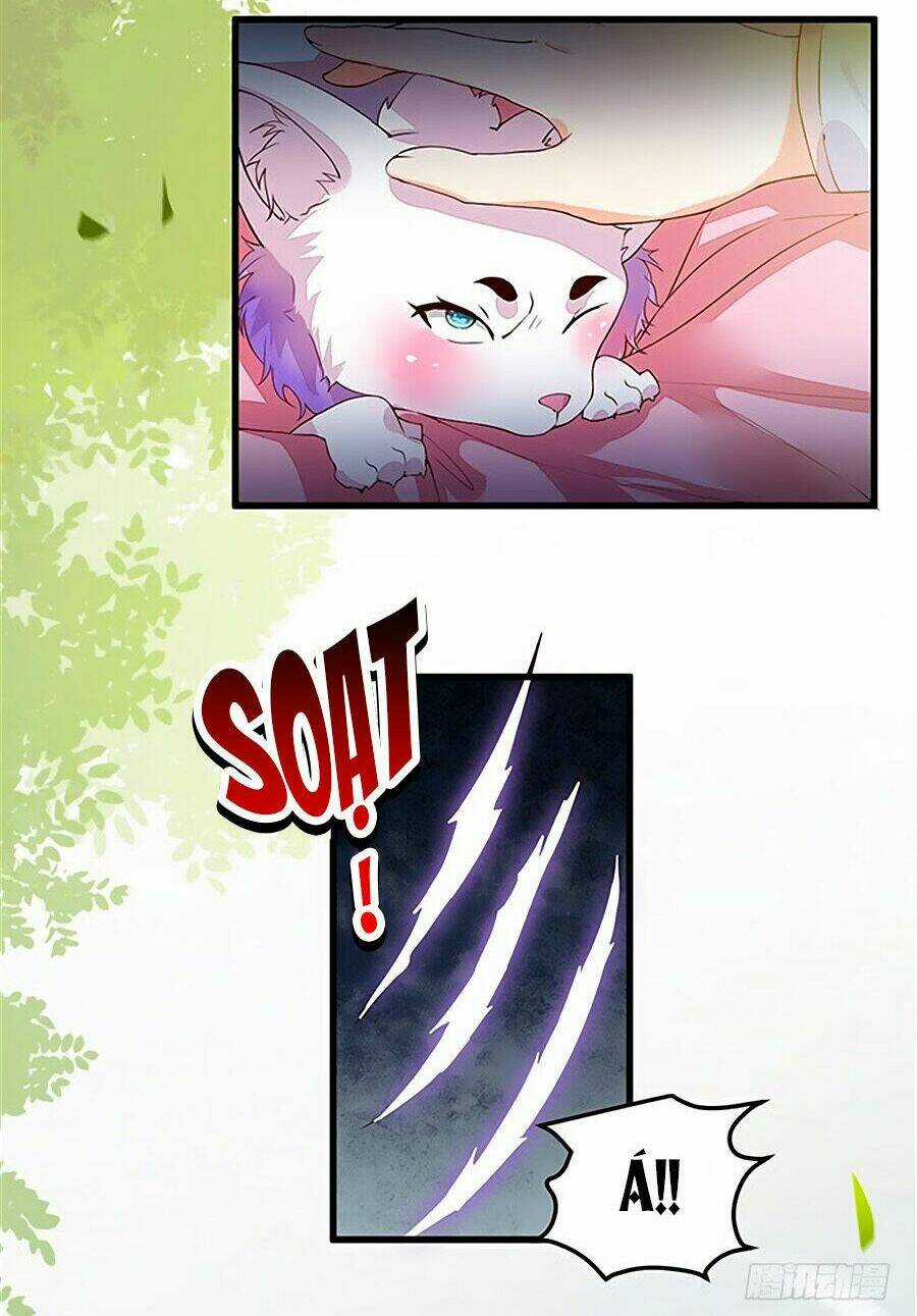 Thần Y Khí Nữ: Ngự Thú Cuồng Phi Của Quỷ Đế Chapter 14 trang 11