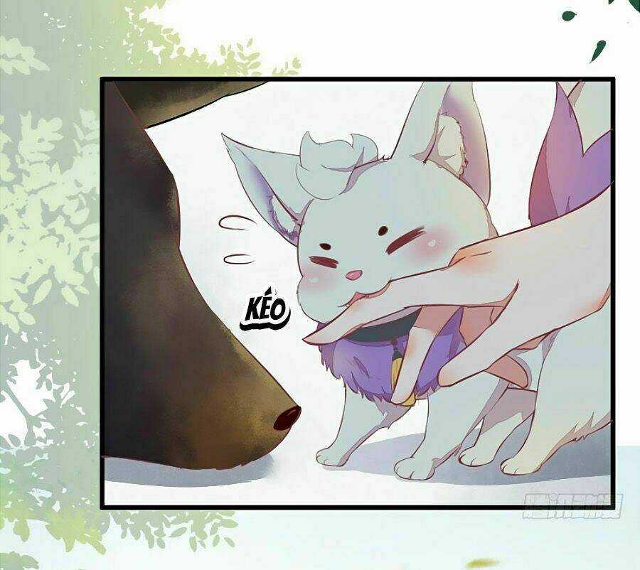 Thần Y Khí Nữ: Ngự Thú Cuồng Phi Của Quỷ Đế Chapter 19 trang 4