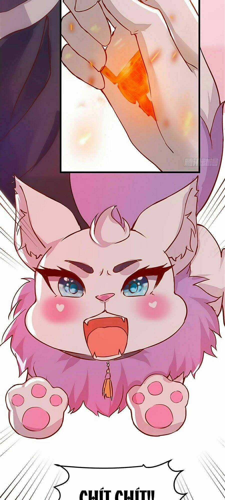 Thần Y Khí Nữ: Ngự Thú Cuồng Phi Của Quỷ Đế Chapter 28 trang 25