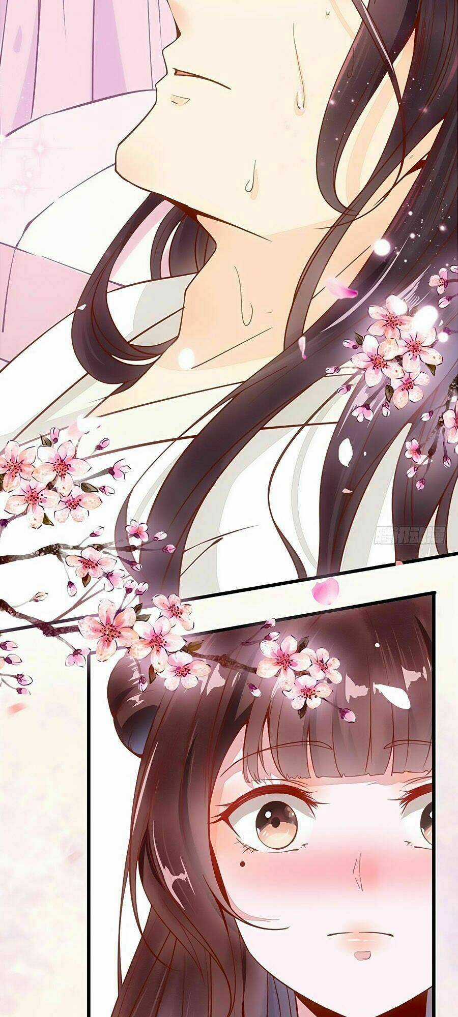 Thần Y Khí Nữ: Ngự Thú Cuồng Phi Của Quỷ Đế Chapter 35 trang 9