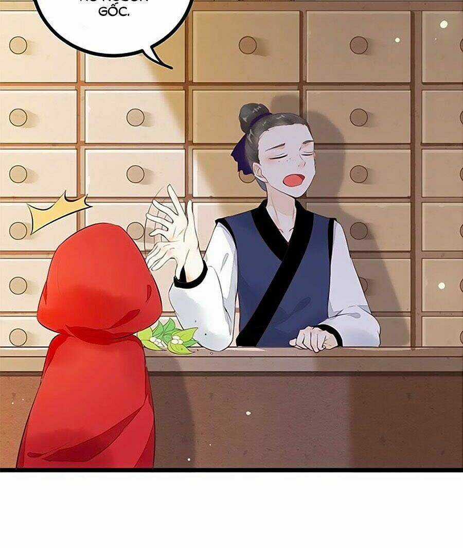 Thần Y Khí Nữ: Ngự Thú Cuồng Phi Của Quỷ Đế Chapter 5 trang 17