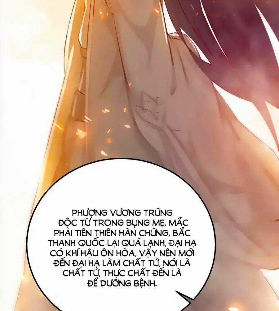 Thần Y Khí Nữ: Ngự Thú Cuồng Phi Của Quỷ Đế Chapter 53 trang 13